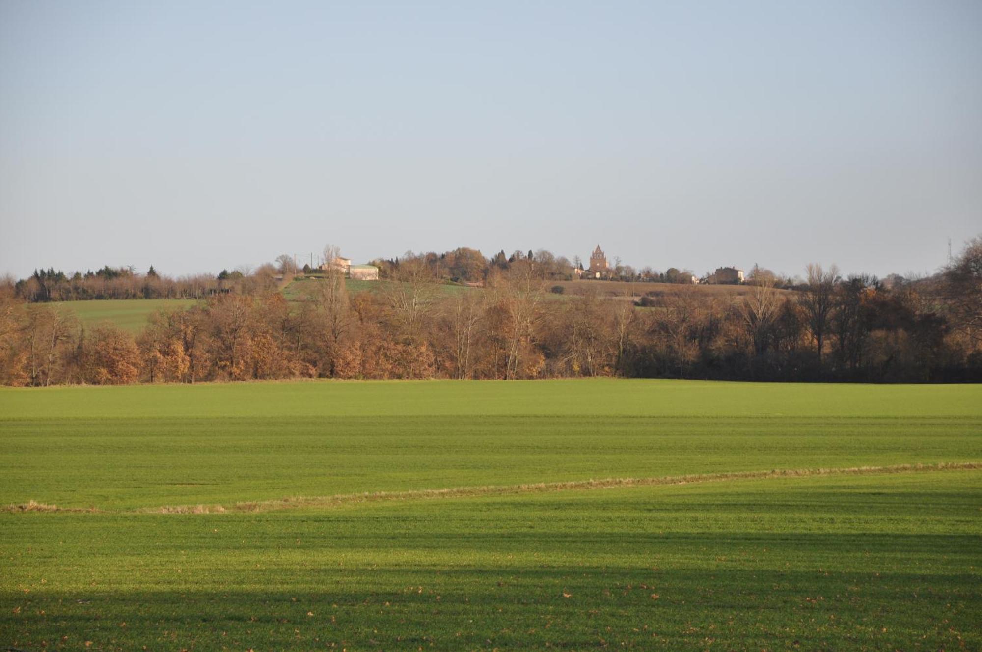 Domaine De Hurlevent Montgaillard-Lauragais Экстерьер фото
