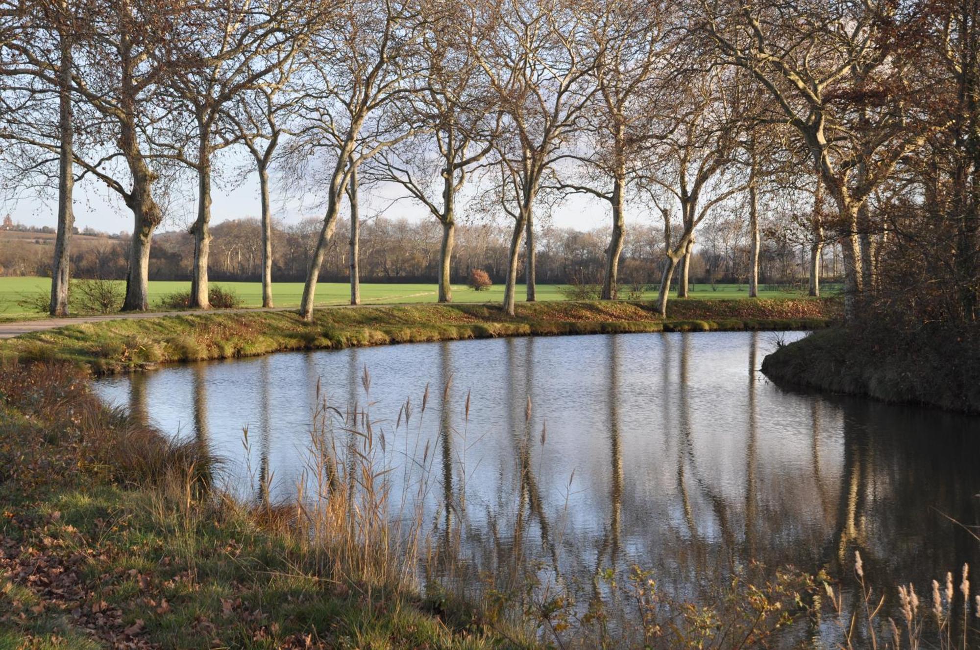 Domaine De Hurlevent Montgaillard-Lauragais Экстерьер фото